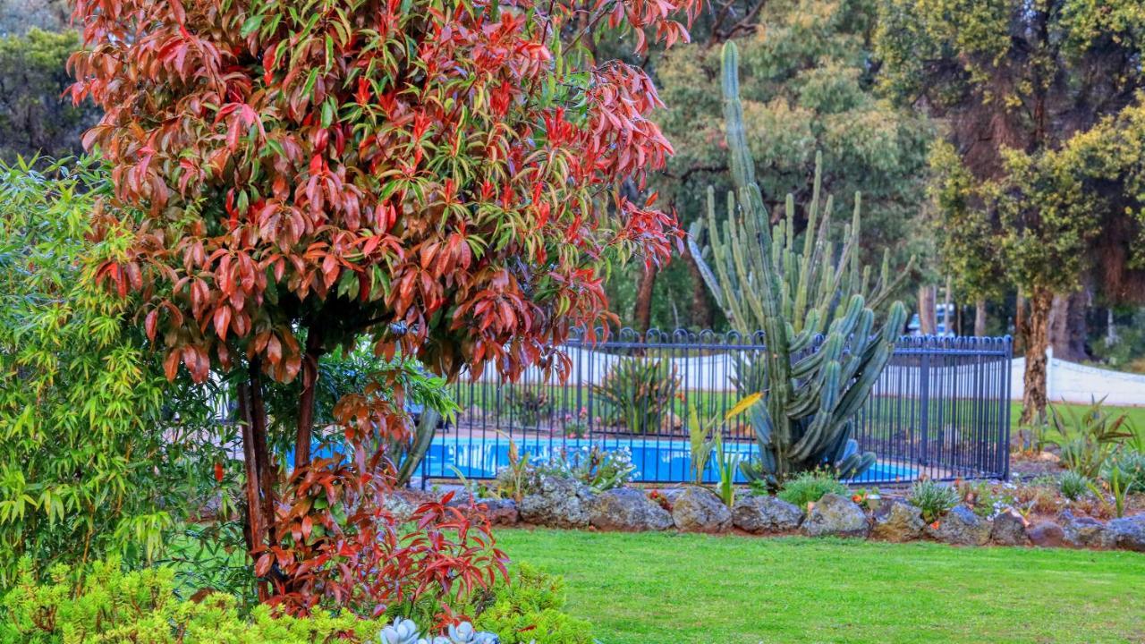 קונאבאראבן Azalea Motel מראה חיצוני תמונה