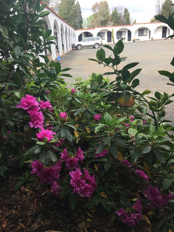 קונאבאראבן Azalea Motel מראה חיצוני תמונה