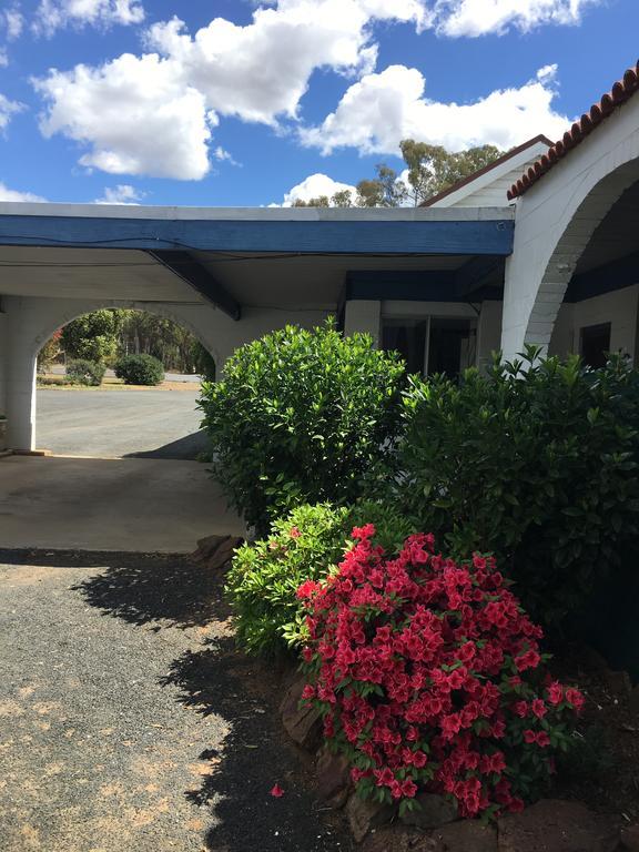 קונאבאראבן Azalea Motel מראה חיצוני תמונה